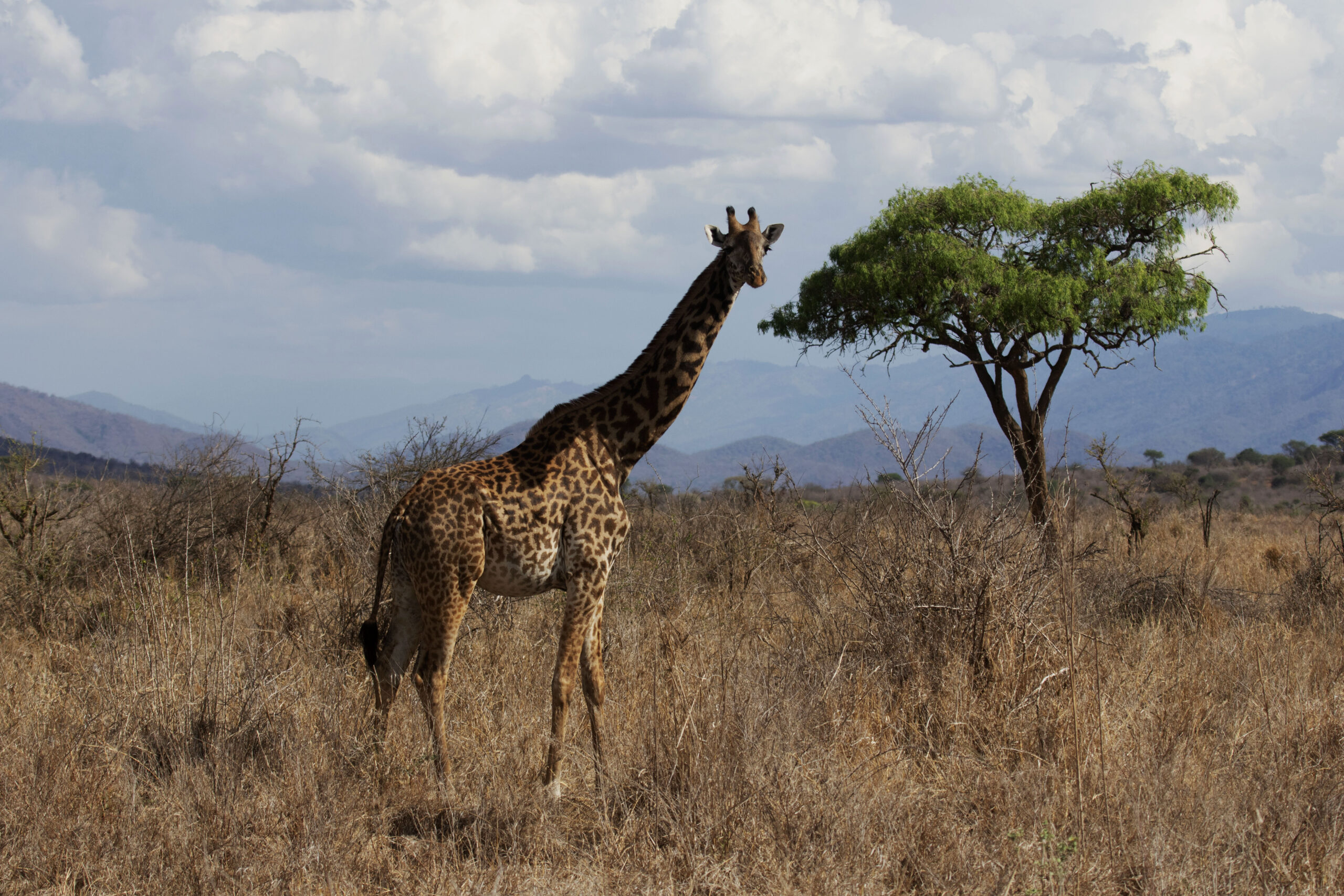 Arusha National Park