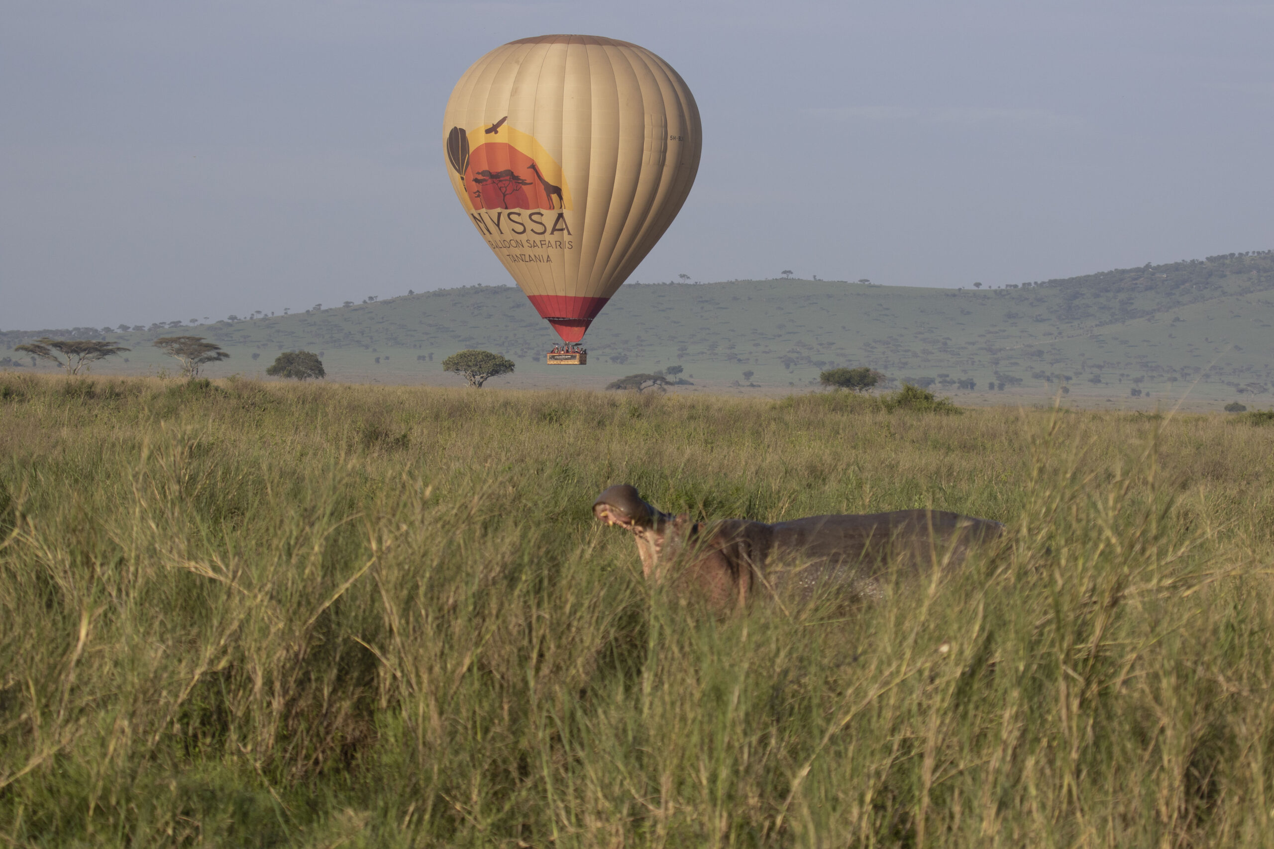 Manyara National Park