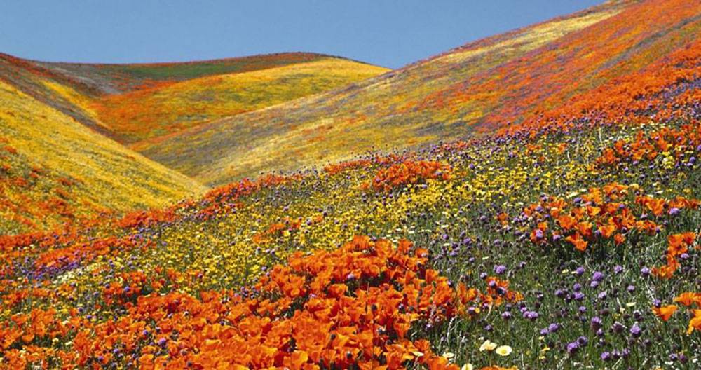 Kitulo National Park